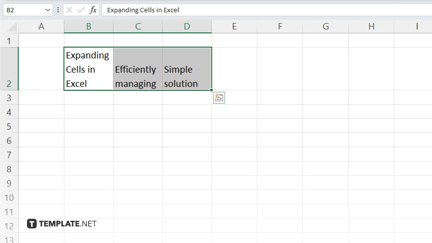 microsoft excel expanding cells