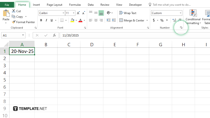 How to Format Date in Microsoft Excel [+ Video]