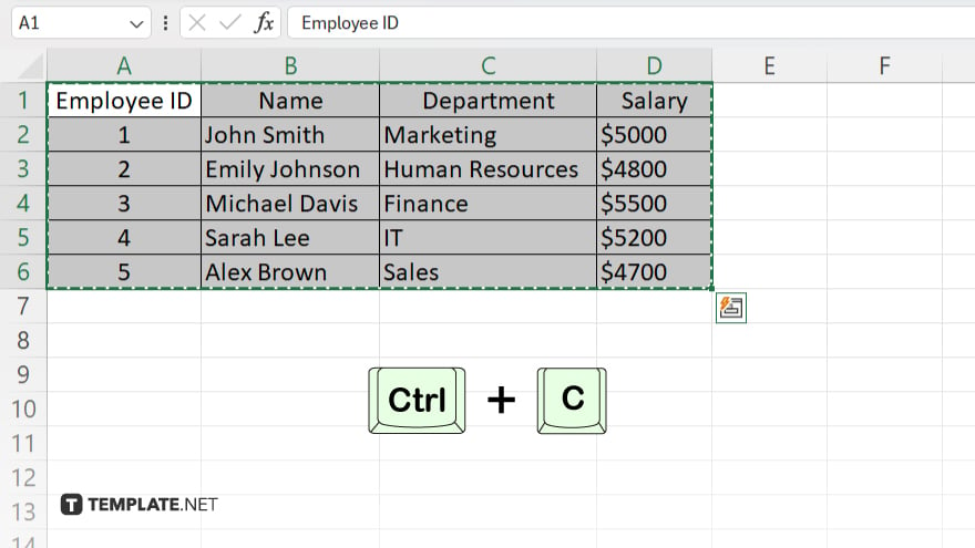 step 2 copy the excel data