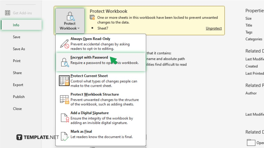 step 3 protecting the workbook