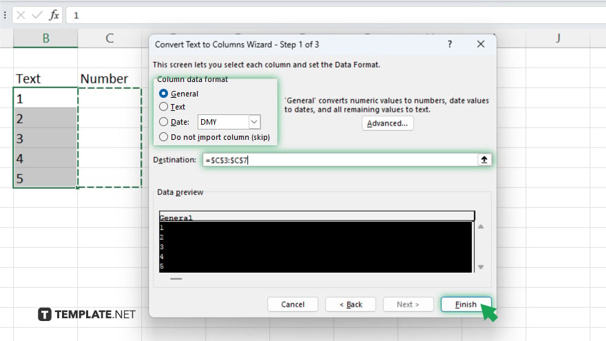 step 5 select data format
