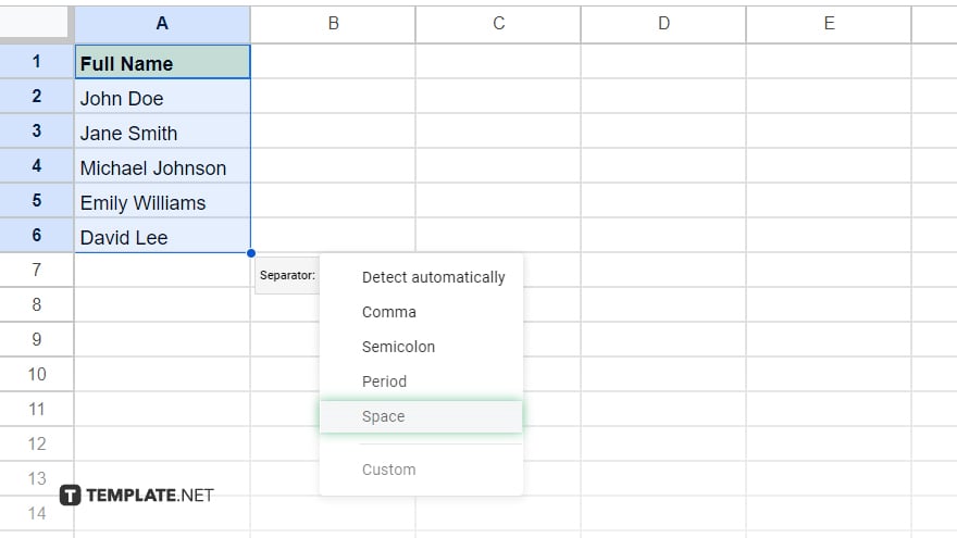 using split text to columns feature in google sheets