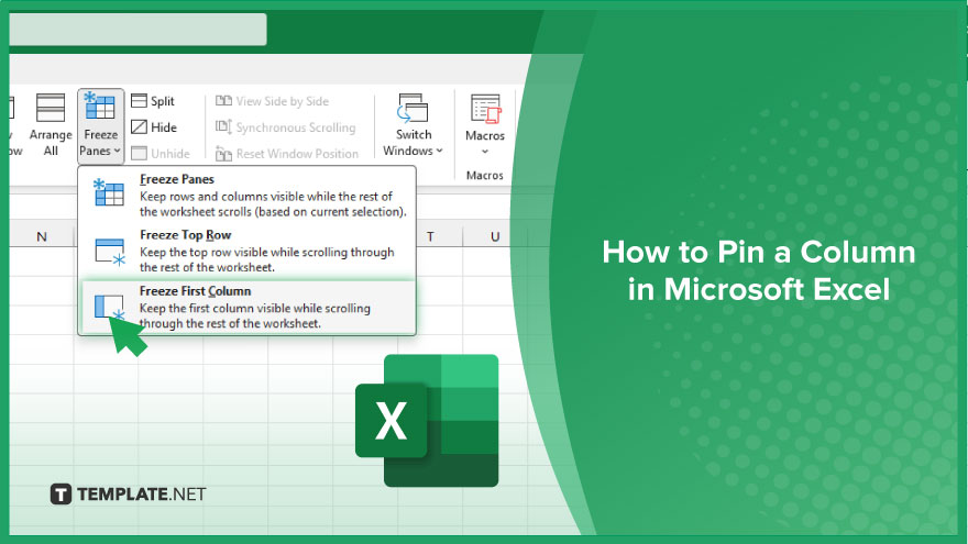 How to Pin a Column in Microsoft Excel Video