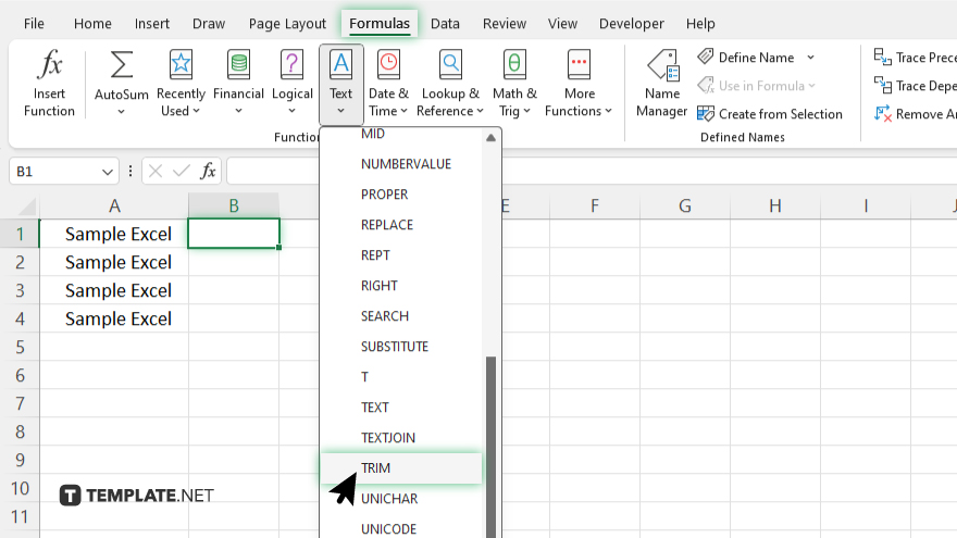 how-to-remove-leading-space-in-microsoft-excel-video