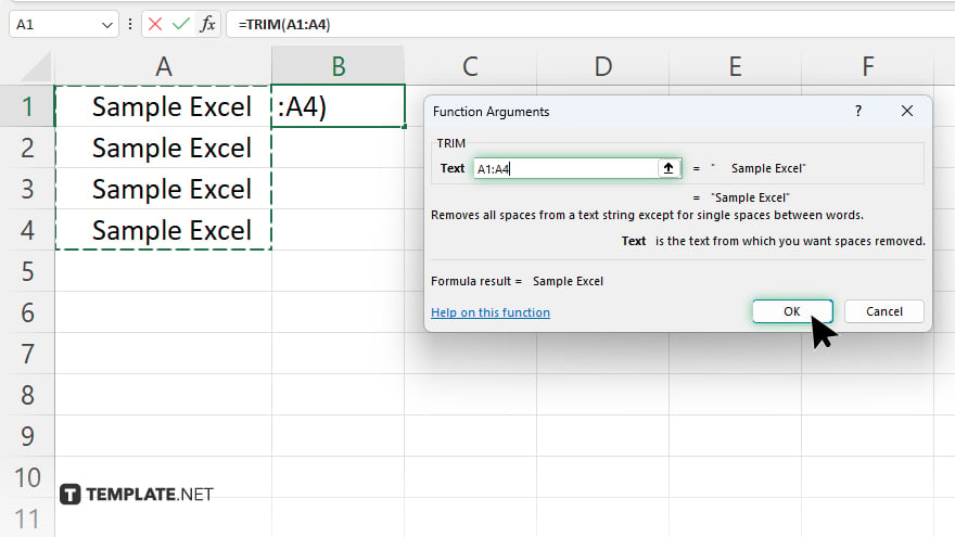 step 2 microsoft excel access the trim function