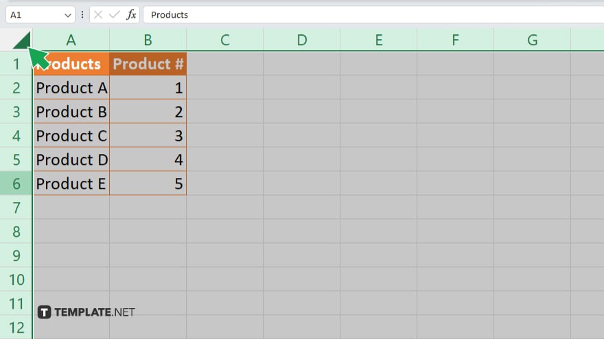 step 2 select the entire worksheet