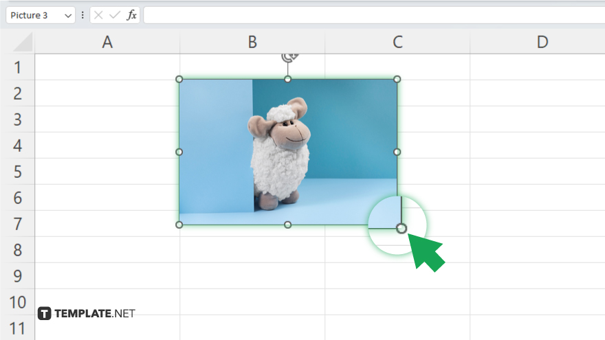 step 4 resize and position the picture in microsoft excel