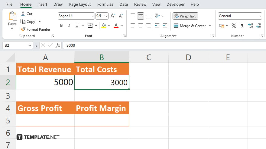 step 1 input revenue and cost data