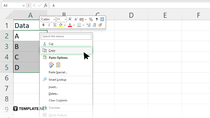 step 2 copy the data in excel