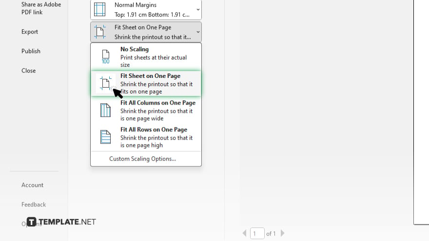 step 2 select the fit sheet on one page option