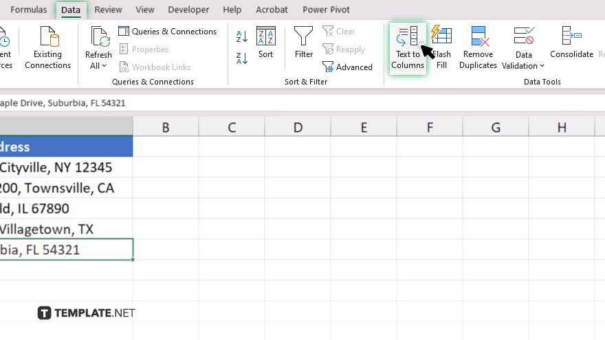step 2 use the text to columns feature