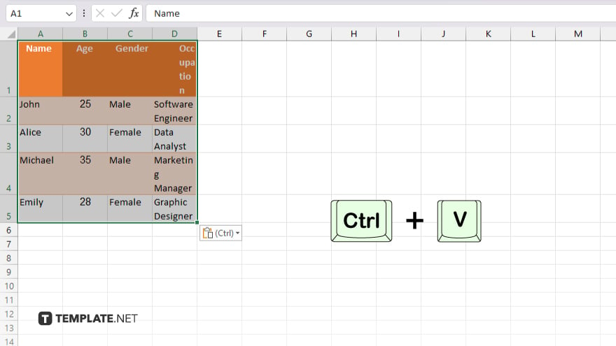step 4 paste the data into excel