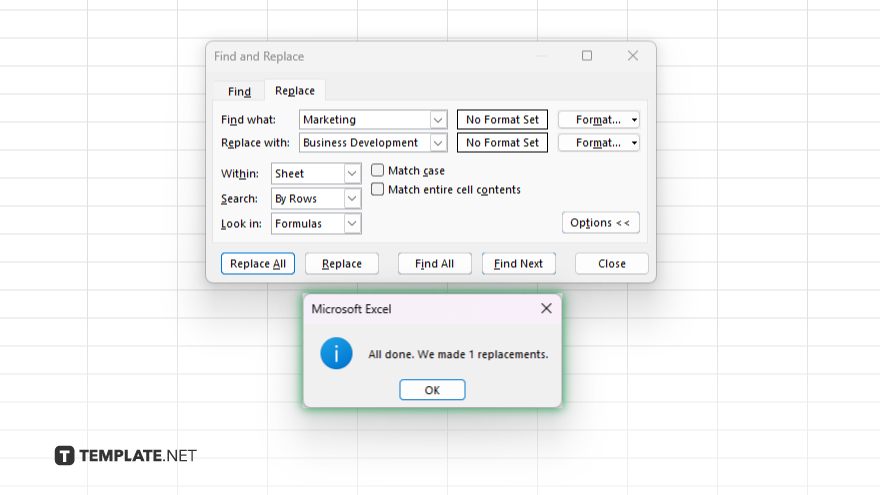 step 5 execute the replacement in microsoft excel