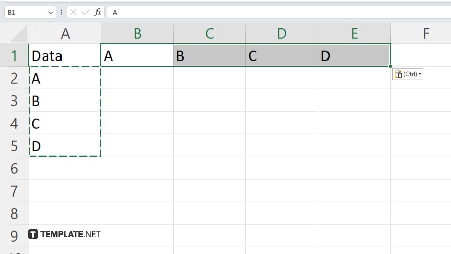 step 5 finalize the layout in microsoft excel