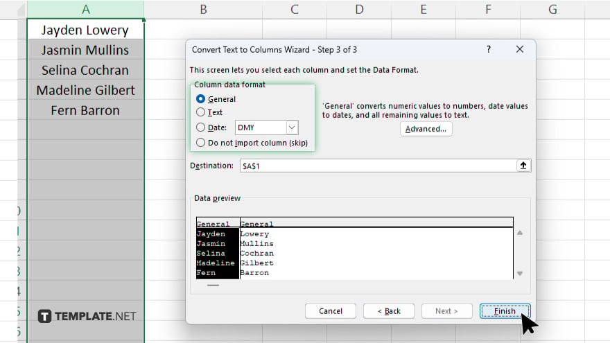 step 5 select delimiters in microsoft excel
