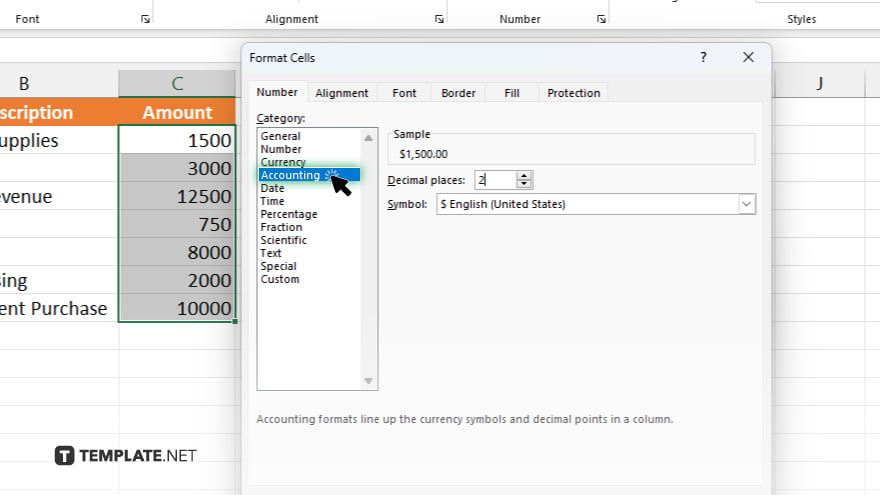 step 2 access the accounting number format