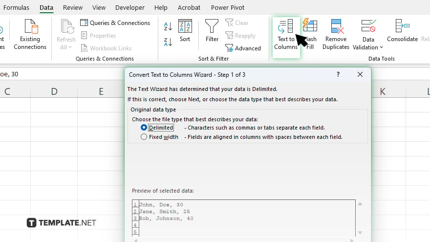 step 2 access the text to columns tool