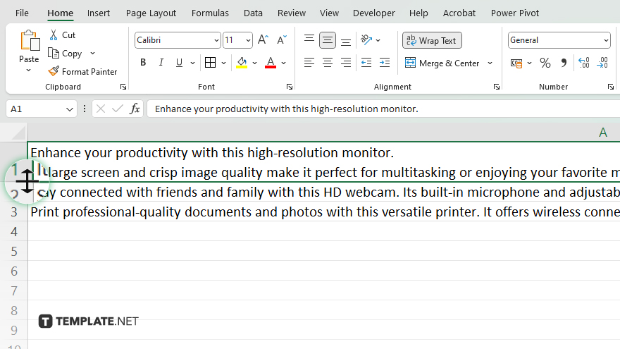 how-to-auto-adjust-row-height-in-microsoft-excel-video