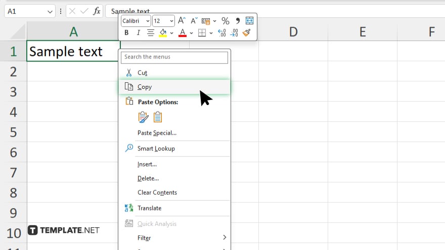 step 2 copy the cells in microsoft excel
