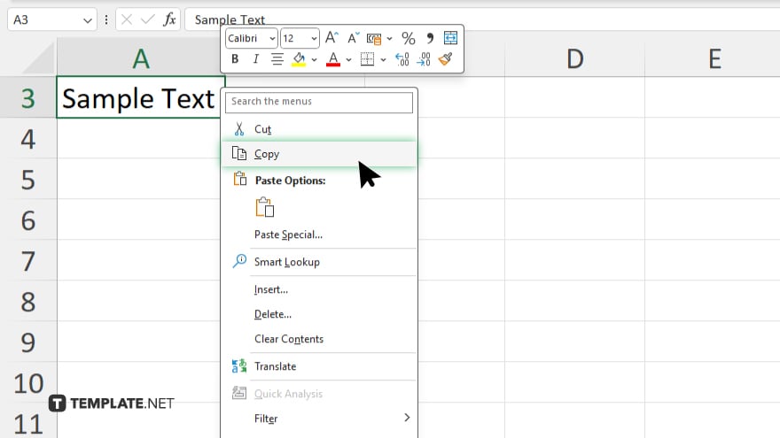 step 2 copy the data in microsoft excel