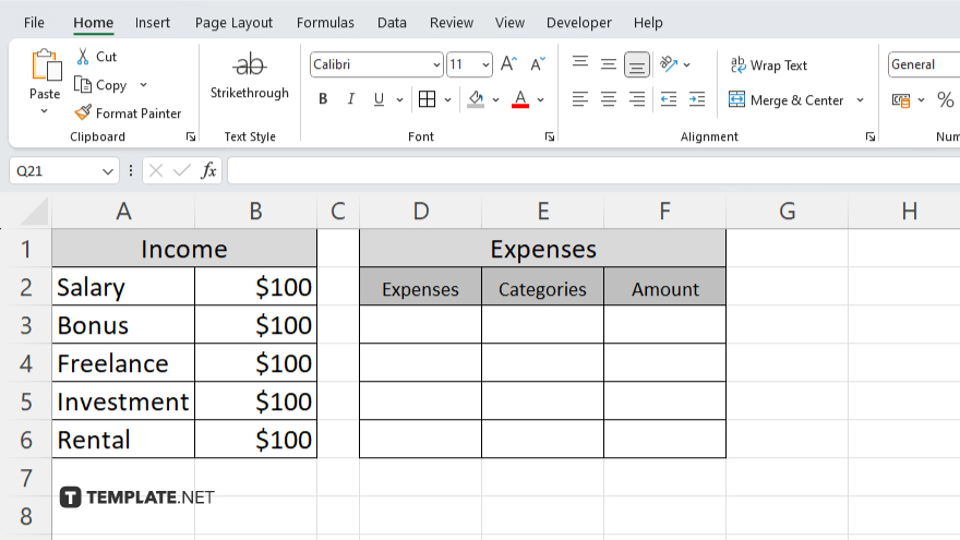 step 2 enter your income in microsoft excel