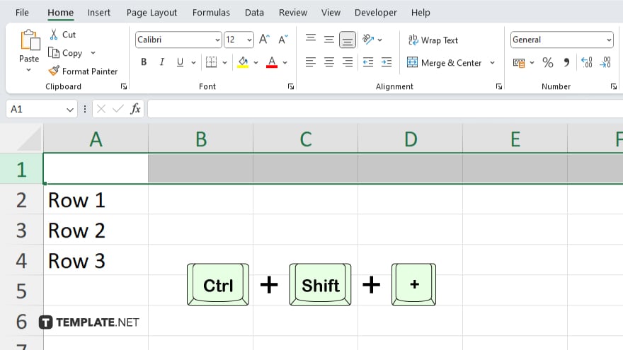 step 2 use the shortcut in excel
