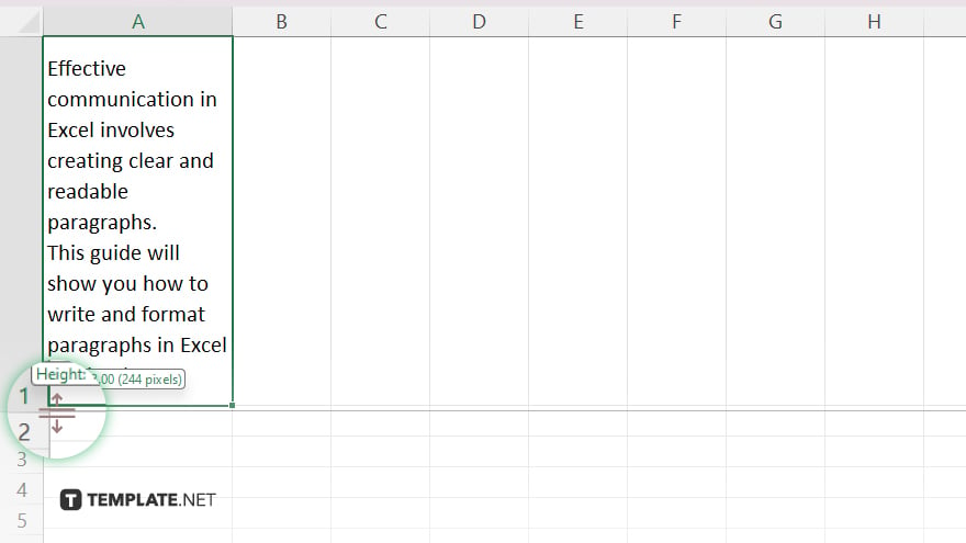 step 3 adjust the size in microsoft excel