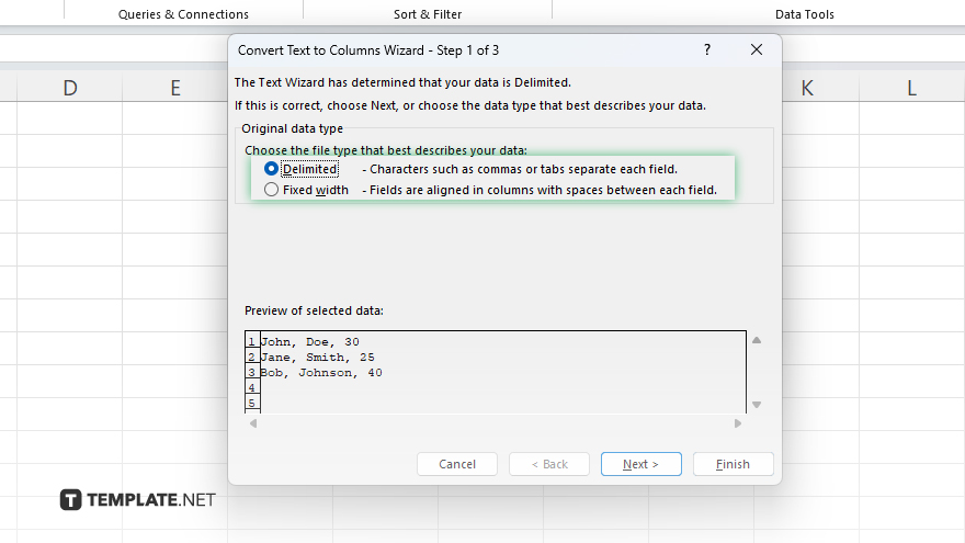 step 3 choose the data type