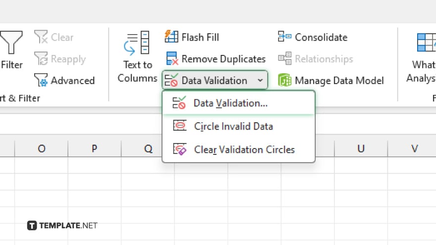 step 3 open the data validation dialog