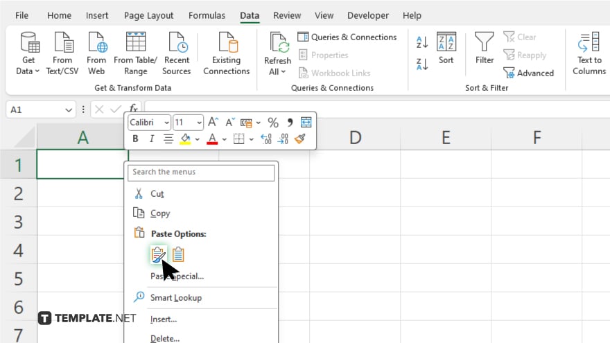 step 3 paste data into excel