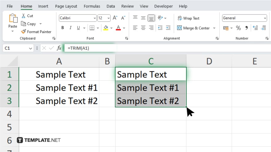 step 4 apply the formula to the entire column in microsoft excel