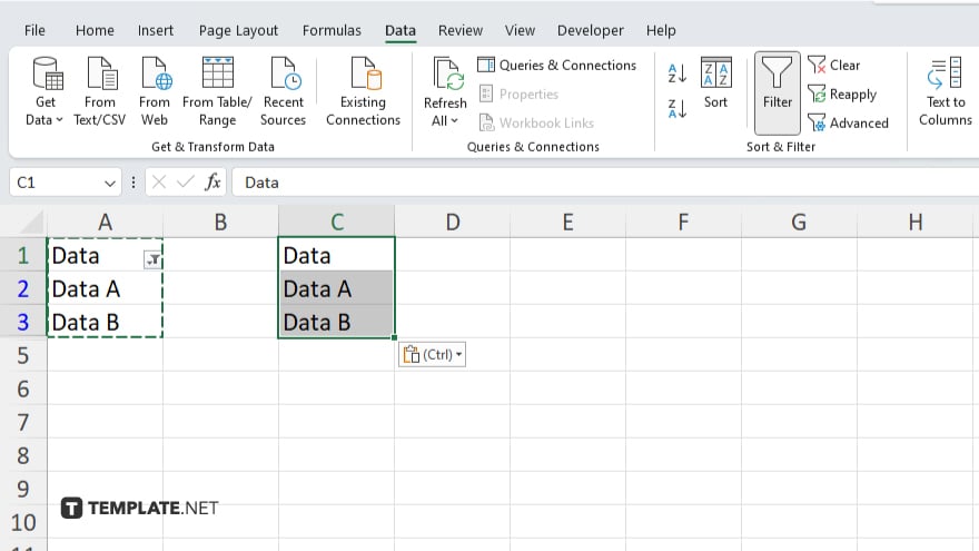 step 5 paste filtered data in microsoft excel