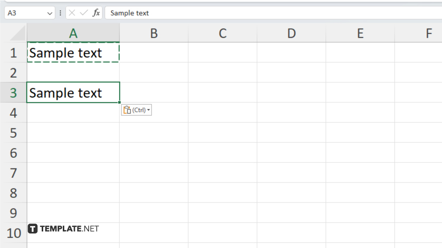 step 5 verify the duplicated cells