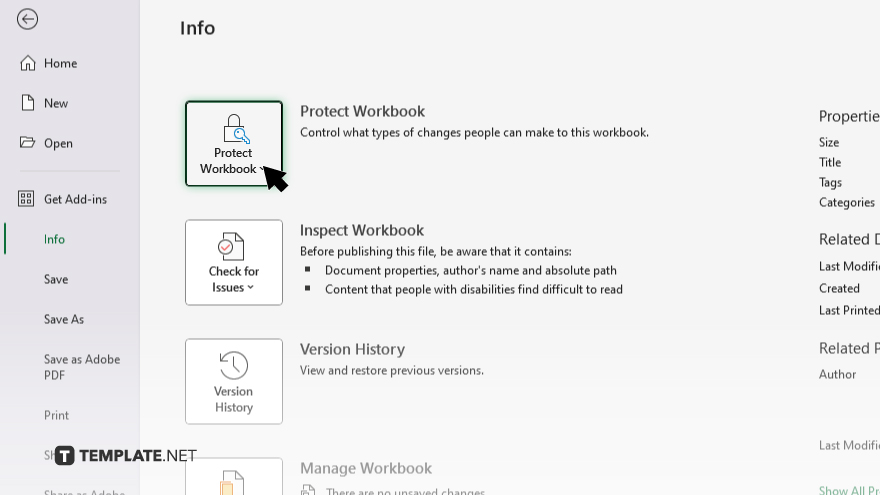 step 2 access the protect workbook option