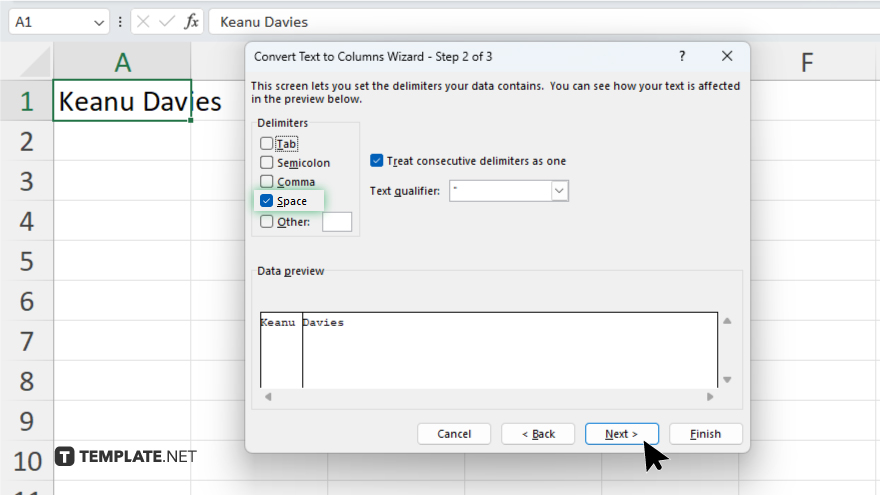 step 4 select the delimiters in microsoft excel