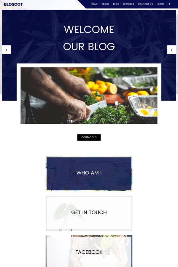 Bloscot Blog Website Template