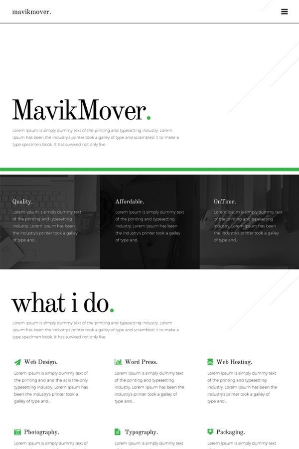 Developer Portfolio Wordpress Theme Template