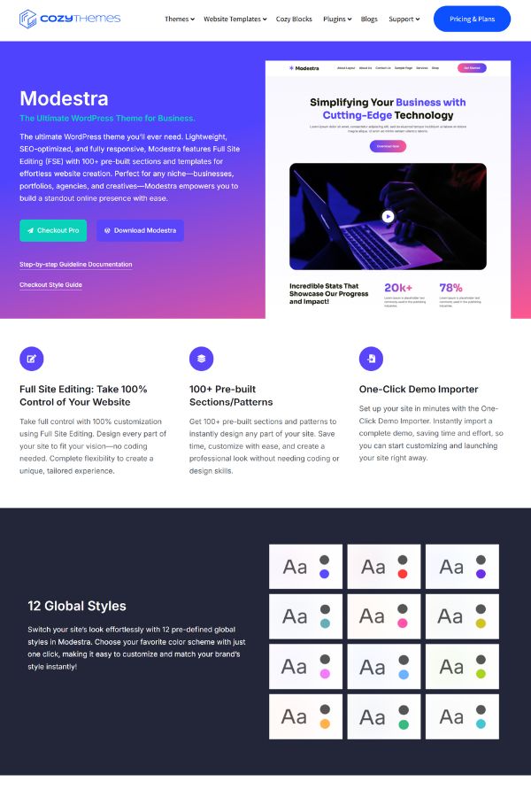 Modestra Portfolio Theme Template