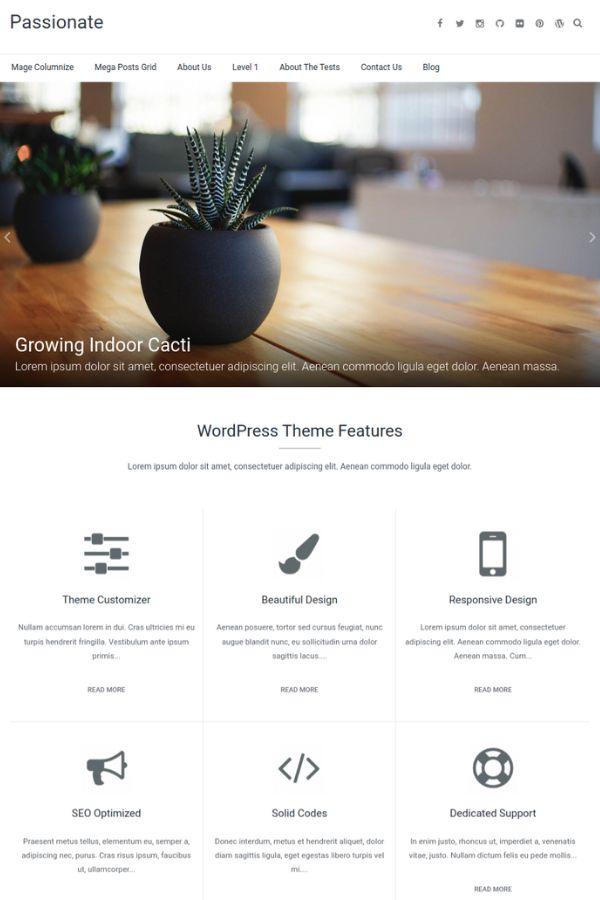 Passionate Website Template