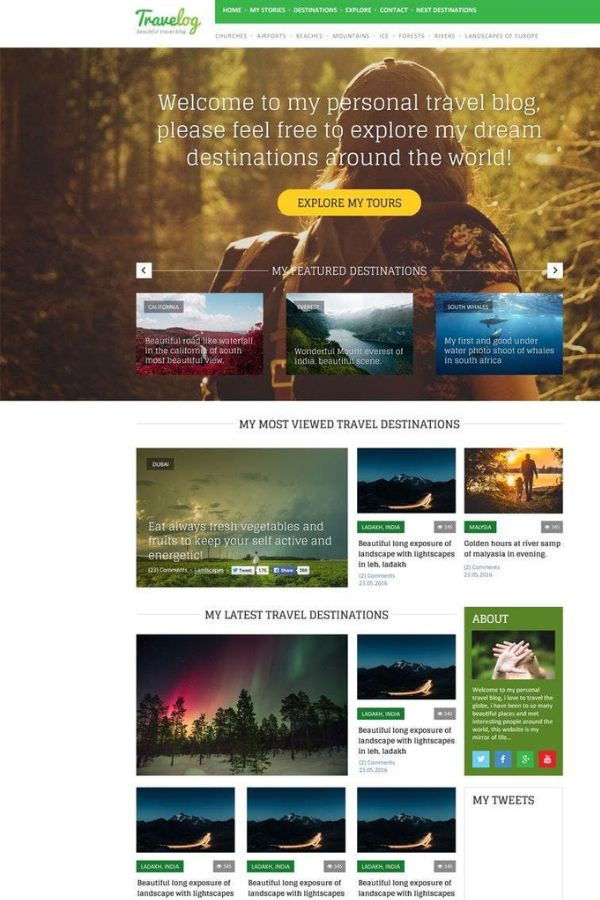 Traveler Blog PSD Website Template